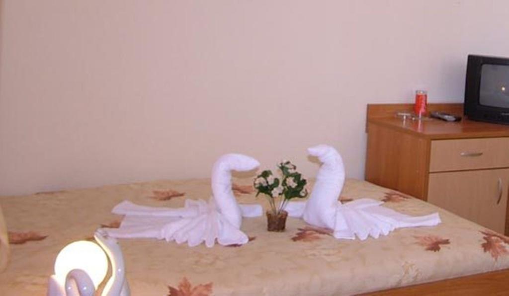 Family Hotel St. Constantine And Helena Ivaylovgrad Eksteriør billede